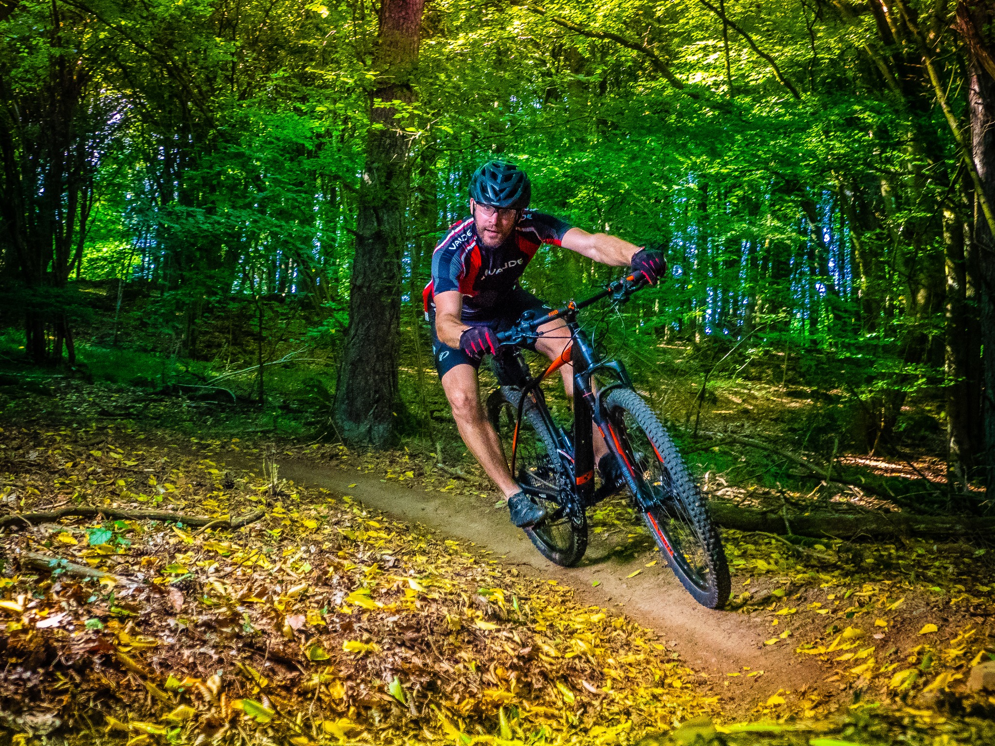 Mountainbike rider in the forest